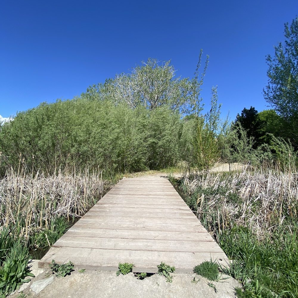 Anderson Park - Hiking Near Me - Reno, Nevada