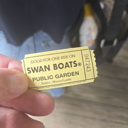 Swan Boats of Boston