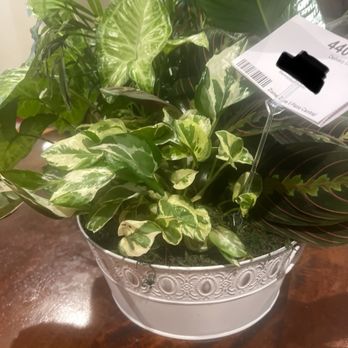 1-800 Flowers - First arrangement that came. Not like photo . Missing flowers - Florists Near Me - Allen, Texas
