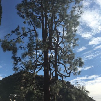 H & E Tree Service - Tree Services Near Me H & E Tree Service - Tree Services Near Me