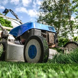 LawnScapes of San Antonio