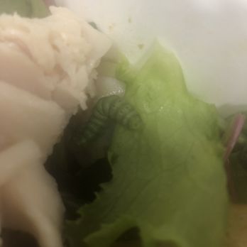 Jason's Deli - Caterpillar - Delis Near Me - Fort Worth, Texas Jason's Deli - Caterpillar - Delis Near Me - Fort Worth, Texas