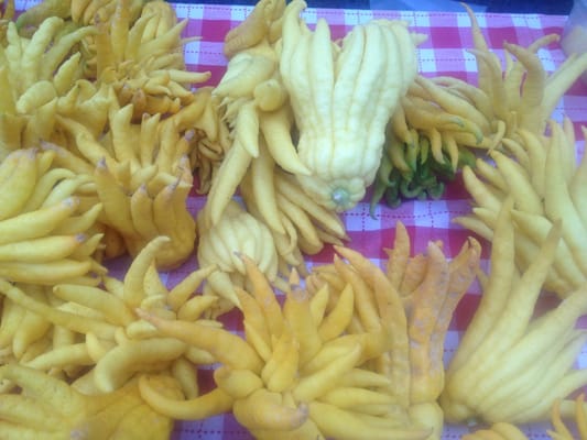 Montclair Village Farmers' Market by null