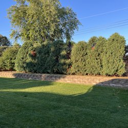 Raptor Tree Service