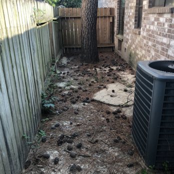 Lawn With Care - Before clean up. - Lawn Services Near Me Lawn With Care - Before clean up. - Lawn Services Near Me