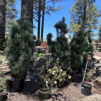 Warner's Nursery & Landscape - Nurseries & Gardening Near Me - Flagstaff, Arizona