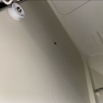Olive Branch Townhomes - Roaches in dishwasher - Apartments Near Me - Batavia, Ohio Olive Branch Townhomes - Roaches in dishwasher - Apartments Near Me - Batavia, Ohio