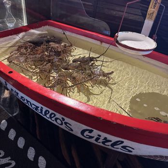 Lorenzillo's - Lobster s, you pick the one you want they weight it right there and cook it for you - Seafood Near Me - Cancún, ROO