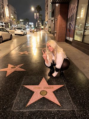Hollywood Walk of Fame by null
