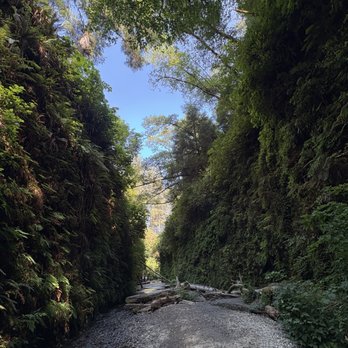 Fern Canyon Trailhead - Gorgeous walkway - Parks Near Me