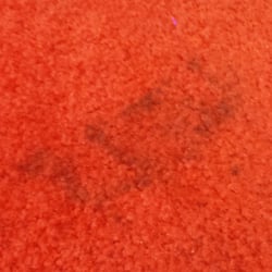 Grand Rental Station - Footprint on carpet