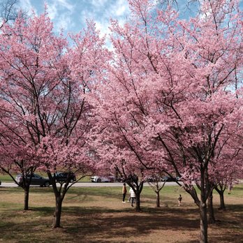 Branch Brook Park - Parks Near Me - Newark, New Jersey