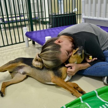 PetSuites Norcross - Pet Groomers Near Me - Norcross, Georgia PetSuites Norcross - Pet Groomers Near Me - Norcross, Georgia
