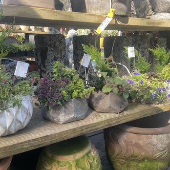 Maas Nursery - Nurseries & Gardening Near Me - Seabrook, Texas Maas Nursery - Nurseries & Gardening Near Me - Seabrook, Texas