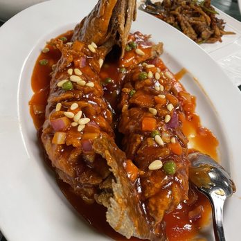Hu's House - 松子鱼 - Shanghainese Near Me - Albany, New York Hu's House - 松子鱼 - Shanghainese Near Me - Albany, New York