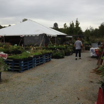 Mossyback Farm - a man walking down a gravel road - Fruits & Veggies Near Me - Stanwood, Washington Mossyback Farm - a man walking down a gravel road - Fruits & Veggies Near Me - Stanwood, Washington