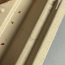 thank god i opened my sandwich up. found this nice strand of hair. ain't trying to eat someone's hair lol thank god i opened my sandwich up. found this nice strand of hair. ain't trying to eat someone's hair lol