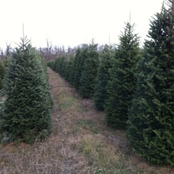 Evergreen Valley Christmas Tree Farm