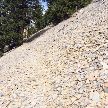 Charleston Peak - Small portion of the trail is covered in slippery rocks - Hiking Near Me - Mt. Charleston, Nevada Charleston Peak - Small portion of the trail is covered in slippery rocks - Hiking Near Me - Mt. Charleston, Nevada