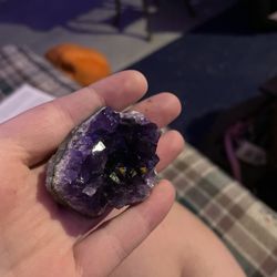 The Evolution Store - amethyst cluster, such a deep purple
