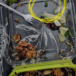 Barons Market Menifee - Caterpillar in my salad