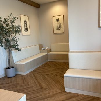 GoodVets - Buckeye - Winter 2025, waiting area. - Veterinarians Near Me - Buckeye, Arizona