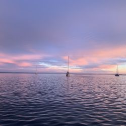 Cape Cod Catamaran - Beatiful after sunset glow in Wellfleet Harbor