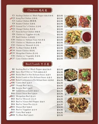 Menu photo 7 Yummy Sichuan Flower Mound, TX Menu photo 7 Yummy Sichuan Flower Mound, TX