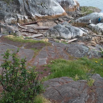 Lighthouse Park - The smooth trail...if you are a goat! - Parks Near Me Lighthouse Park - The smooth trail...if you are a goat! - Parks Near Me