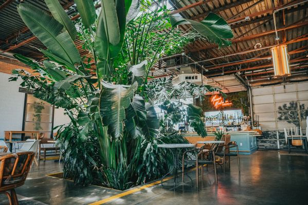 FireHouse Gastro Park by null