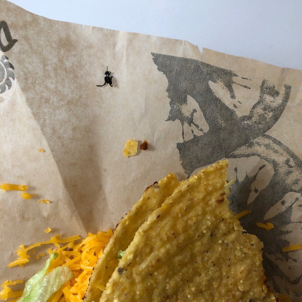 a taco with cheese and lettuce a taco with cheese and lettuce
