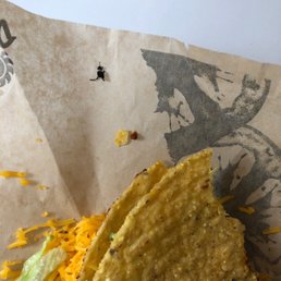 a taco with cheese and lettuce a taco with cheese and lettuce