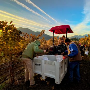 Troon Vineyard - Wineries Near Me - Grants Pass, Oregon