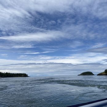Deception Pass Tours - Whale Watching Tours Near Me - Anacortes, Washington Deception Pass Tours - Whale Watching Tours Near Me - Anacortes, Washington