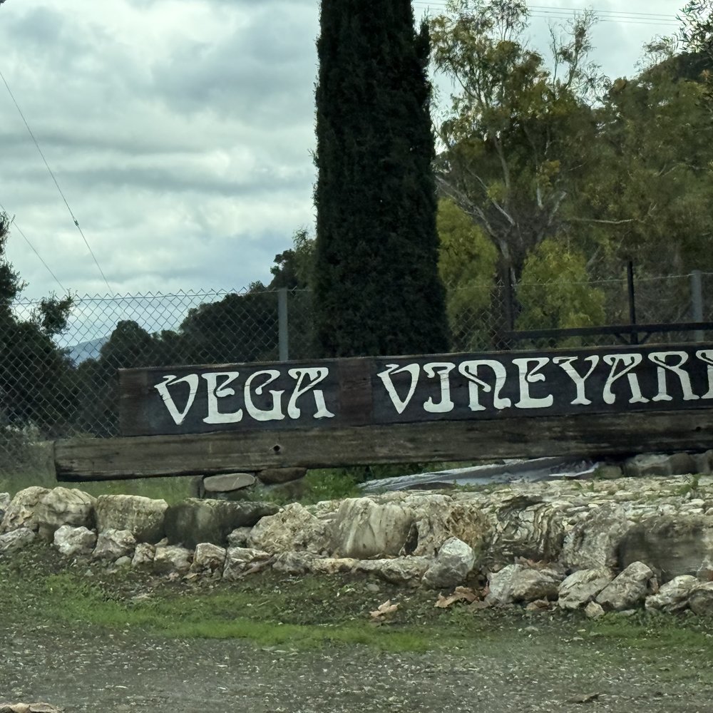 Vega VIneyards