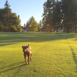 Inglewood Country Club