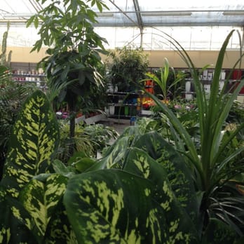 Oh! Green - Nurseries & Gardening Near Me - Ottignies-Louvain-la-Neuve, WBR Oh! Green - Nurseries & Gardening Near Me - Ottignies-Louvain-la-Neuve, WBR