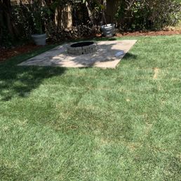 My yard is ready for my new garden!