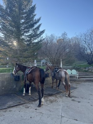 Mountain View Ranch by null