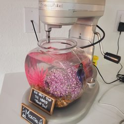 Fat Cupcake- Happy Valley