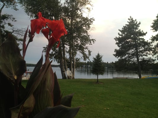 Madden's On Gull Lake by null