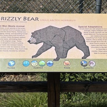Big Bear Alpine Zoo - Some facts about tie Grizzly Bear - Zoos Near Me - Big Bear Lake, California Big Bear Alpine Zoo - Some facts about tie Grizzly Bear - Zoos Near Me - Big Bear Lake, California