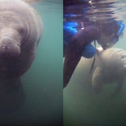 you really get to see them up close! you really get to see them up close!