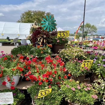 Plant Place - Lots of sun loving annuals - Nurseries & Gardening Near Me - Chanhassen, Minnesota Plant Place - Lots of sun loving annuals - Nurseries & Gardening Near Me - Chanhassen, Minnesota