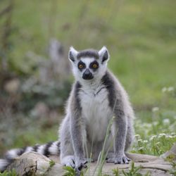 Parco Natura Viva