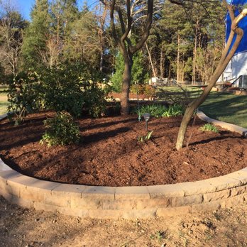 Green's Tree Service - a tree planted in a raised bed - Tree Services Near Me Green's Tree Service - a tree planted in a raised bed - Tree Services Near Me