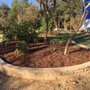 Photo of Green's Tree Service