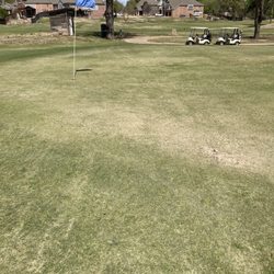 Grand Oaks Golf Club - Greens