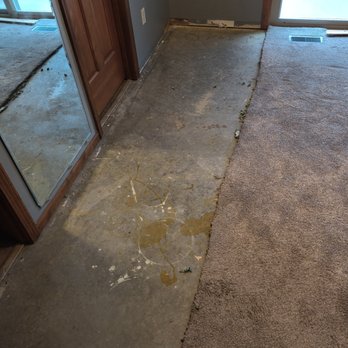 Paul Davis Restoration - Mold inspection and removal - Damage Restoration Near Me - Fort Wayne, Indiana