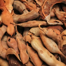 El Mercadito Mexican Grocery